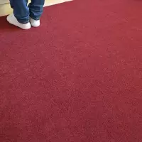 企购优品 纯色地毯 除尘防滑毯走廊楼梯地毯纯色无字玄关垫子 红色地毯 单位:米