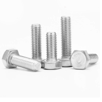 梓华4.8级22mm*55mm六角螺栓(100个装)