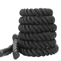 甩绳战绳格斗绳体能锻炼UFC专业体能训练绳 MMA格斗训练绳 健身大绳力量绳9米直径50mm