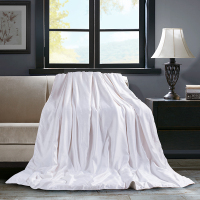 博洋家纺(Beyond Home Textile)纯蚕丝被-克洛依2m*2.3m(XF)