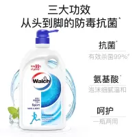 威露士沐浴洗发水二合一氨基酸沐浴露600ml 活力