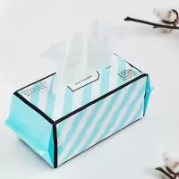 三利 洁面美容毛巾 一次性洗脸巾 化妆棉柔巾卸妆清洁面巾纸 水刺无纺布毛巾 干湿两用美容巾抽纸 20×20 白色