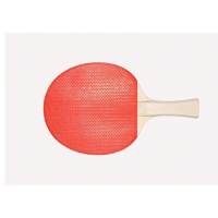 企购优品 双喜乒乓球拍一副