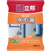 立邦 水不漏堵漏涂料 快干水泥堵漏灵 屋顶裂缝隙 速凝型胶泥 2kg