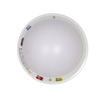 斜边应急吸顶灯 大号