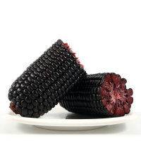 黑玉米10根 单根220g 山西黑糯玉米真空包装 花青素王子