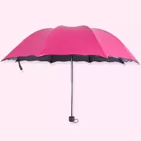 遮阳伞遇水开花晴雨伞 100把起购