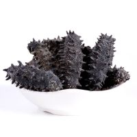 大连冻干海参——花开富贵(简装) 海参套盒F(H)