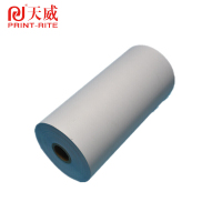天威(PrintRite)双胶纸 定制电传纸 小卷纸 120mm*100mm 一箱24卷