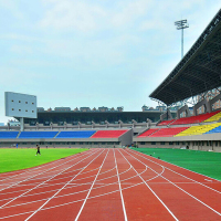 卫氏 新国标塑胶跑道 橡胶颗粒安全环保操场 普通型PK-13