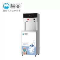 碧丽(Bili)商用柜式节能王饮水机JO-2Q5-RO