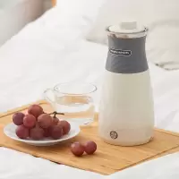 摩飞便携电水壶MR6090