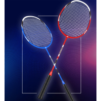 得力(deli)羽毛球拍双拍儿童体育用品时尚套装对拍 羽毛球拍对拍 迪科斯DKS-328