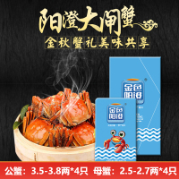 阳澄湖大闸蟹 公蟹 母蟹 海鲜水产 988型号