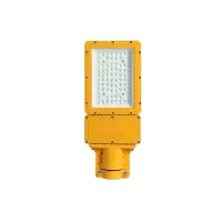 鼎辉照明防爆路灯BFDH4012 /100w