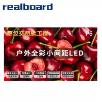 Realboard LED显示屏 P6户外全彩小间距LED 室外广告屏无缝拼接大屏商用显示器整包套装 LFTR60HL