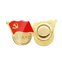 斯图 党徽胸章 为人民服务徽章 普通标准款磁铁-磁扣款 50个装