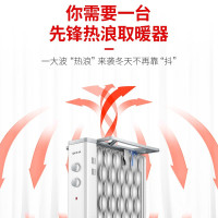 先锋(SINGFUN)DS1952 取暖器电热油汀12片家用大热浪电暖气片电暖油汀电热炉 白色