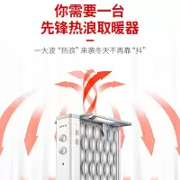 先锋(SINGFUN)DS1952 取暖器电热油汀12片家用大热浪电暖气片电暖油汀电热炉 白色