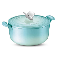 苏泊尔珐琅铸铁锅.多功能炖锅FLT26A2