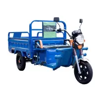 电动三轮车载货货车2*1.2米1200瓦+60V38安电池