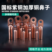 南狮 电缆铜鼻子 国标A级DT-95紫铜端子