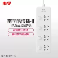南孚(NANFU) NFDK418-4孔单控