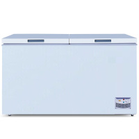 商用冷柜 卧式大冷冻柜 冷藏冷冻转换柜