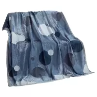 WQMD梦洁美颂 贝加尔湖畔 法兰绒毯尺寸:150cm*200cm