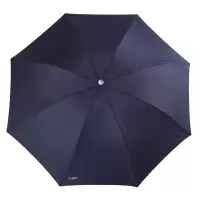 天堂伞 307E