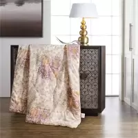 WALOS华纳斯 新一代优眠温馨被被HNS19-BX037