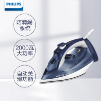 飞利浦电熨斗GC2996/28