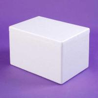 保温泡沫箱 食品保温箱 冷冻保鲜箱 5只装 221*111*141mm