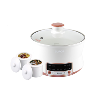 苏泊尔智能电炖盅DZ16YC6