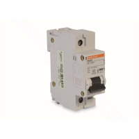 施耐德 Schneider Electric 小型断路器,NG125H C 50A 1P(包装数量 1个)