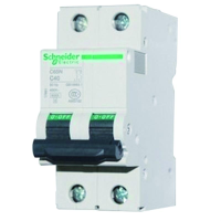 施耐德 Schneider Electric 小型断路器iC65N 2P B50A(包装数量 1个)