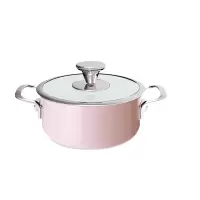 so home 罗马珐琅不锈钢双耳汤锅 R469-20B
