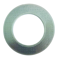 鑫基鸿 石墨复合垫片 (GB2506-89 密封面) 6020