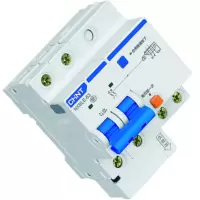 正泰 NXBLE-63 2P C63 30mA 6kA 断路器 按个销售(H)