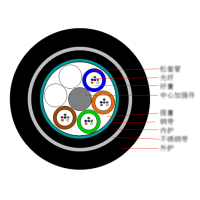 光电 GYTS53-12b1.3 100米