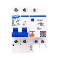 正泰 NXBLE-63 2P C40 30mA 6kA 断路器 按个销售（H）