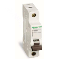 施耐德 Schneider Electric 直流型微型断路器,C65L-DC C6A 1P(包装数量 1个)
