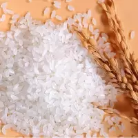 壮栗香软粘王米25KG