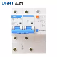 正泰 NXBLE-125 2P C100 30mA 断路器 按个销售（H）