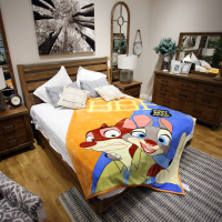 迪士尼(DISNEY)-疯狂动物城云毯-DZYD1510002