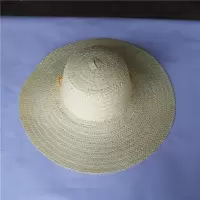 草帽 遮阳帽 编织帽