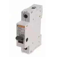 施耐德 Schneider Electric INT125 1P 100A 隔离开关，INT125 1P 100A