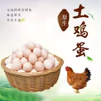WQMD泓花会生鲜 橘树林散养土鸡蛋30枚装TJD30H