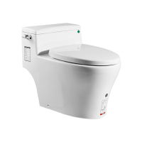 COTTO C10347连体座便器