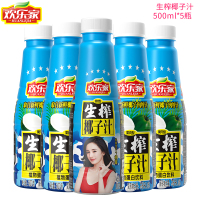 欢乐家生榨椰子汁500ml*5瓶植物蛋白果肉型果味饮品饮料椰汁